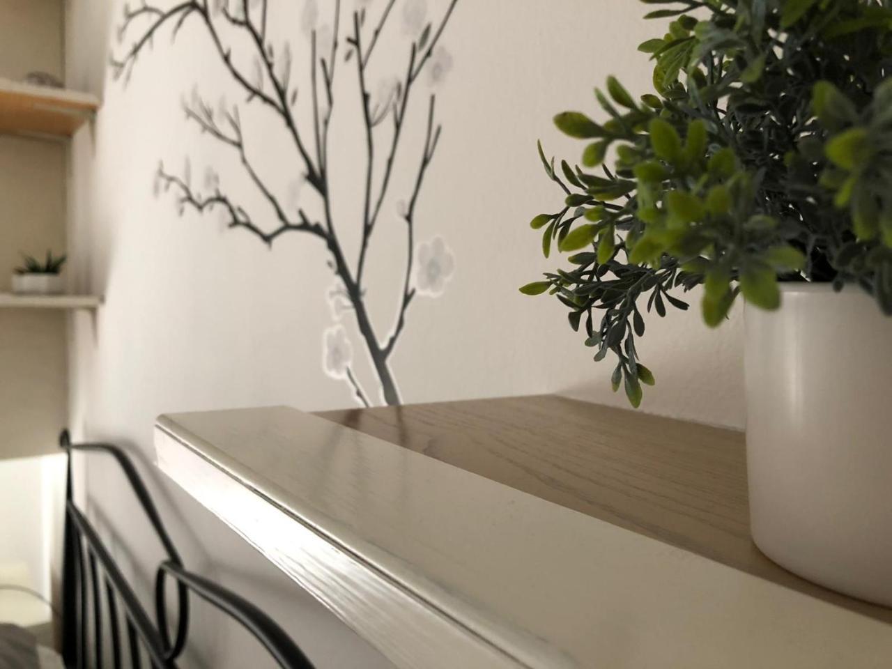 Appartamento Apartman Mera Zara Esterno foto